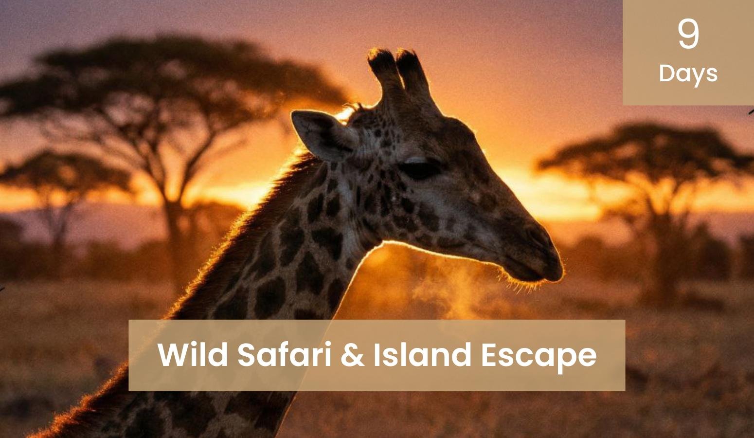 9 Days Wild Safari & Island Escape: Tnzania & Zanzibar