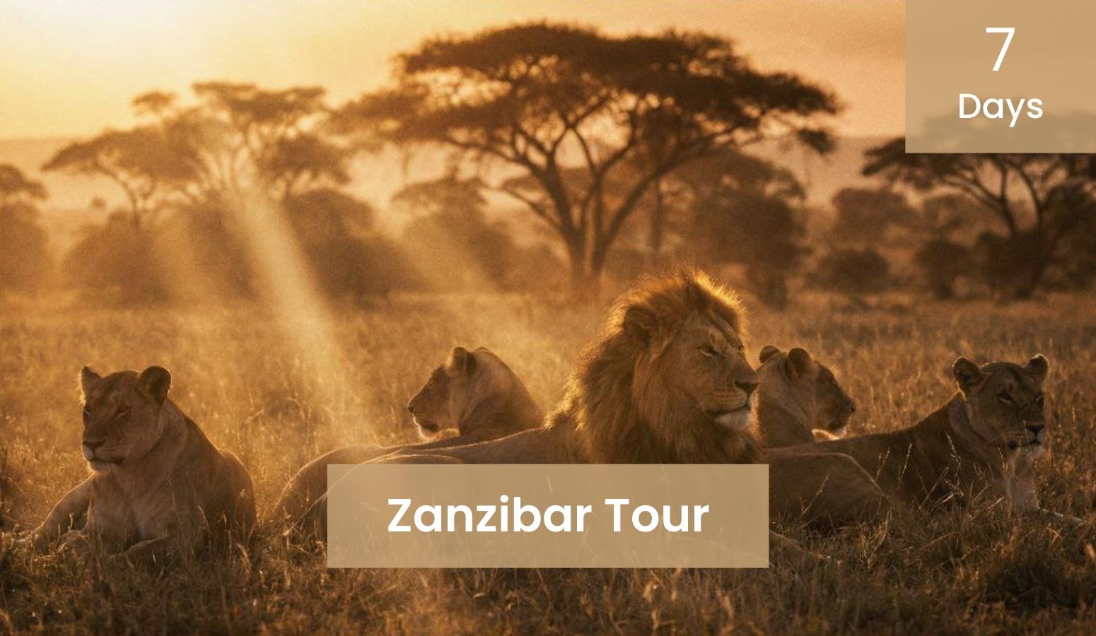 7 Days Zanzibar Tour